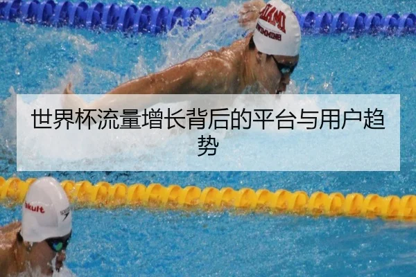 世界杯流量增长背后的平台与用户趋势