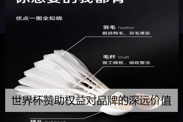 世界杯赞助权益对品牌的深远价值