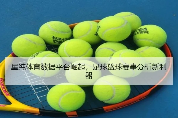 星纯体育数据平台崛起，足球篮球赛事分析新利器