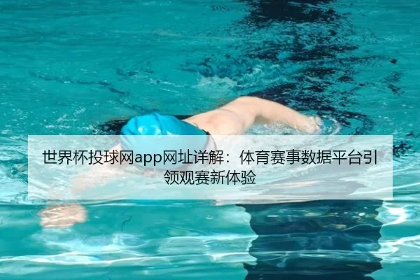 世界杯投球网app网址详解：体育赛事数据平台引领观赛新体验