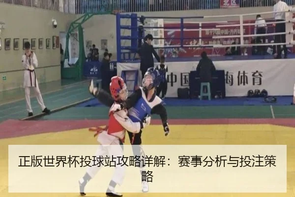 正版世界杯投球站攻略详解：赛事分析与投注策略